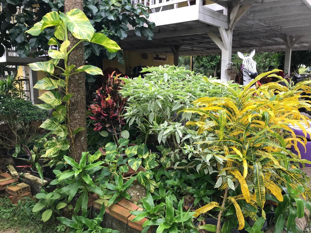 Tree In Town ทรีอินทาวน์ Villa Phatthalung Ngoại thất bức ảnh